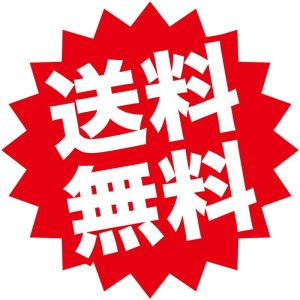 画像10: 勝敗おみくじキーホルダー  (10)