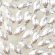 画像1: チヂミビーズ　楕円　8×4mm　シルバー 【10ヶ入】 (1)