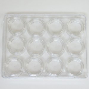 画像3: ビーズケース ラウンド 12個セット 【1セット入】 (3)